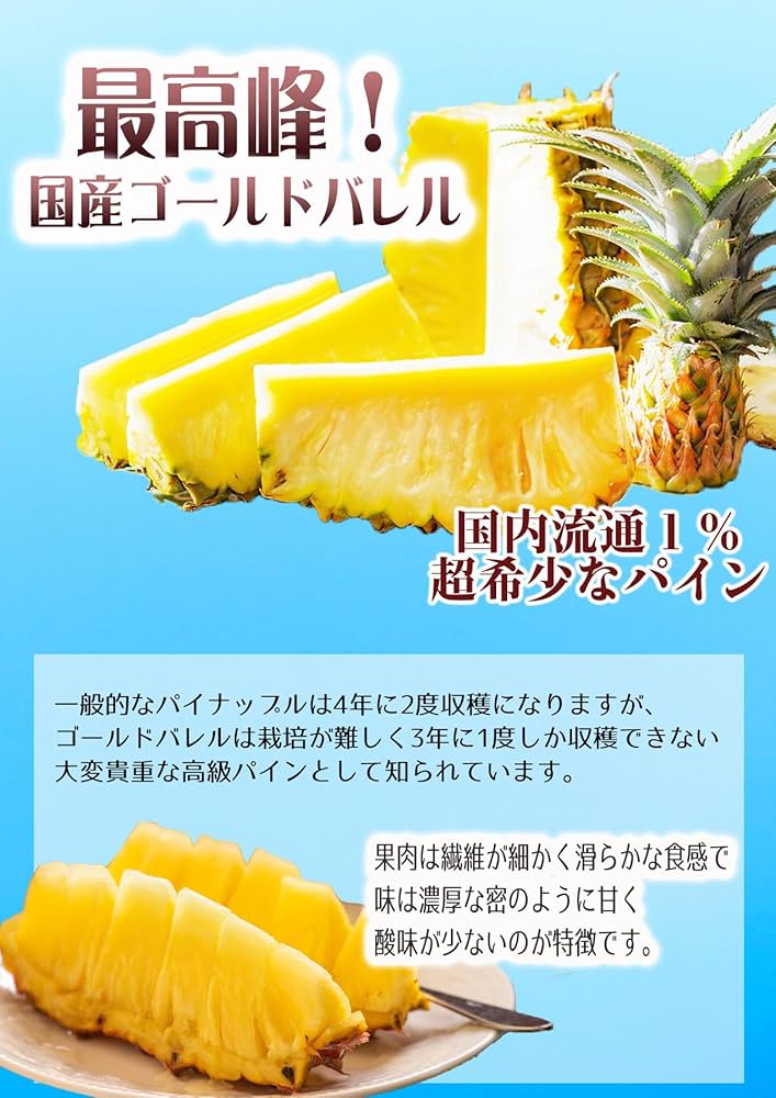 最終値下げ！御中元に最適 地元沖縄でもこの価格は出せない極上品 RYUBO online｜沖縄のデパートリウボウ公式オンラインストア